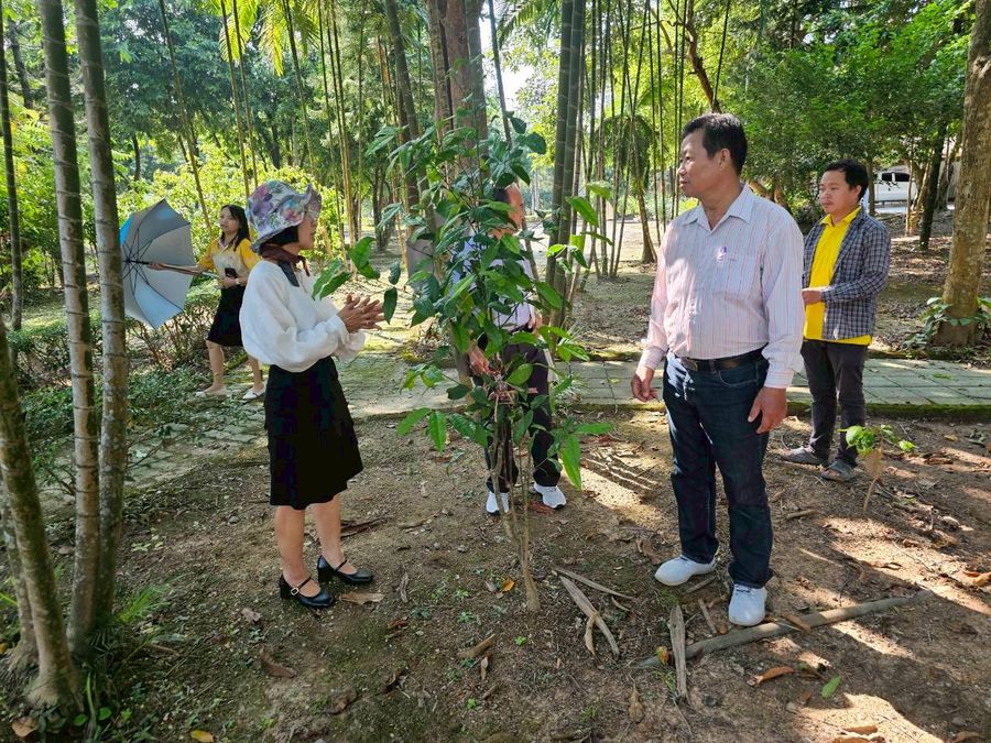 วิทยาเขตเชียงราย ร่วมมือดำเนินงานกับชุมชนป่าแดงโครงการส่งเสริมเศรษฐกิจสร้างสรรค์จังหวัดเชียงราย
