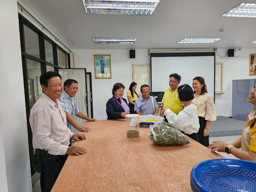 วิทยาเขตเชียงราย ร่วมมือดำเนินงานกับชุมชนป่าแดงโครงการส่งเสริมเศรษฐกิจสร้างสรรค์จังหวัดเชียงราย