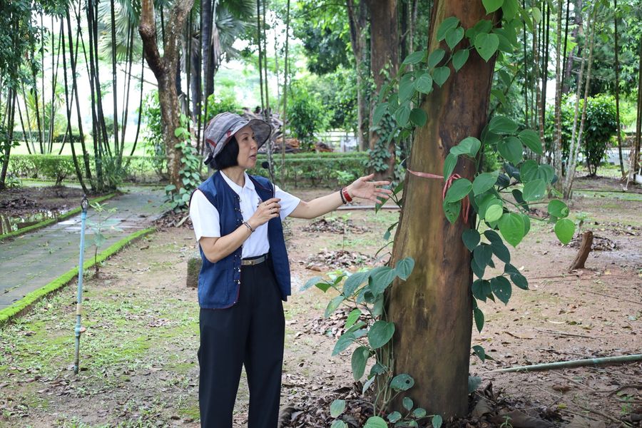 วิทยาเขตเชียงราย ขับเคลื่อนเศรษฐกิจสร้างสรรค์ด้วยนวัตกรรมสมุนไพรท้องถิ่น ยกระดับชุมชนสู่ความยั่งยืน