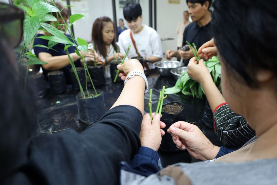 วิทยาเขตเชียงราย ขับเคลื่อนเศรษฐกิจสร้างสรรค์ด้วยนวัตกรรมสมุนไพรท้องถิ่น ยกระดับชุมชนสู่ความยั่งยืน