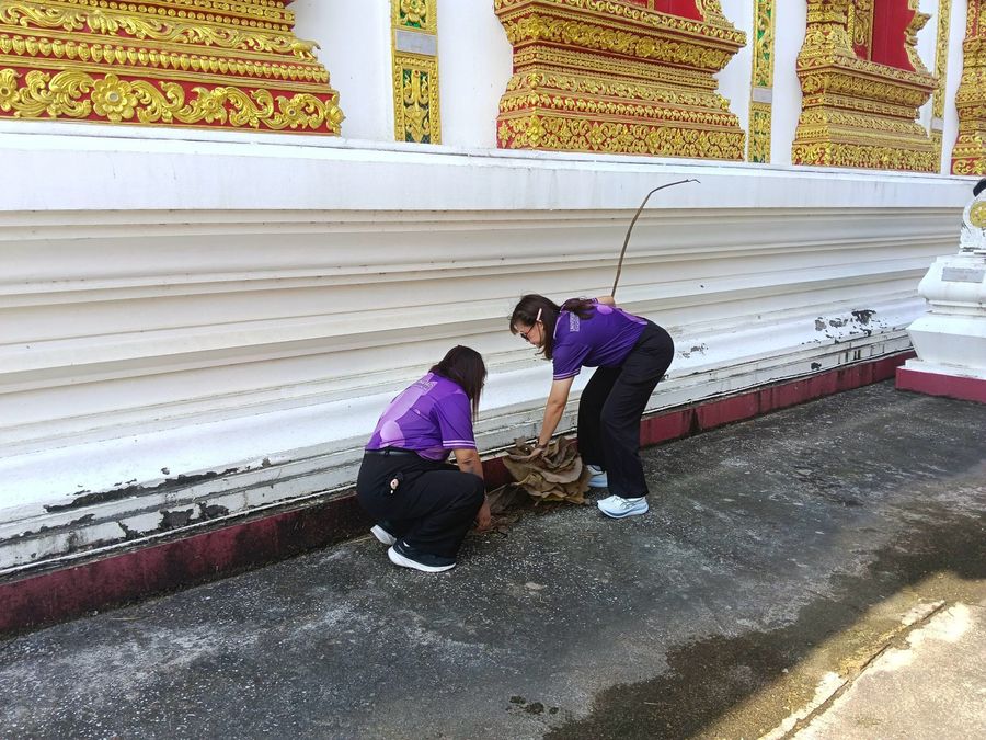 วิทยาเขตเชียงราย ดำเนินโครงการบำเพ็ญประโยชน์แก่ชุมชนและสังคม บูรณาการเรียนรู้ภูมิปัญญาท้องถิ่นสู่การพัฒนาการศึกษา